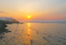 这世间温柔都尽收眼底 - 失眠拾光