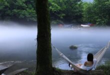 这大概就是人间仙境吧 - 失眠拾光