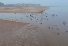 一镜到底看黄海 - 失眠拾光