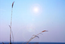 随 想 - 失眠拾光