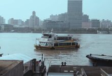 过往是不忍触碰的遗憾 - 失眠拾光