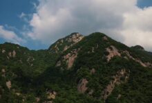 累了？我来治愈你吧 - 失眠拾光