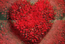 轻轻地说声我爱你 - 失眠拾光