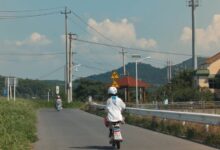 在路上抬头向上望 - 失眠拾光