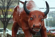 忐忑不安的人间繁华 - 失眠拾光