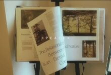 观 夏 - 失眠拾光