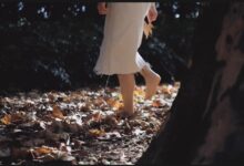 你是心的珍贵 - 失眠拾光