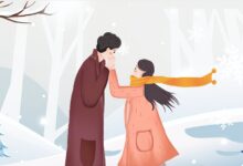 流浪的骆驼 - 失眠拾光