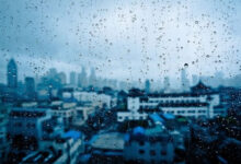 在雨季 - 失眠拾光