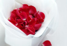 期 盼 - 失眠拾光