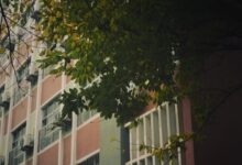 当春天赋有秋的味道 - 失眠拾光