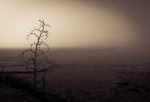 遗失之殇 - 失眠拾光