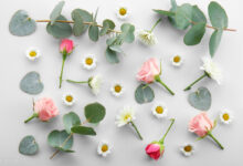 我多想 - 失眠拾光