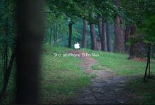 听雨的宁静 - 失眠拾光