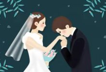 一定是特别的缘分 - 失眠拾光