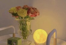 归 去 - 失眠拾光