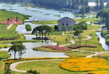 如此多娇 - 失眠拾光