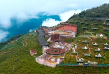 看起来好玩 - 失眠拾光