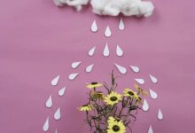 碎 片 - 失眠拾光