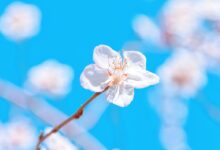 和 解 - 失眠拾光