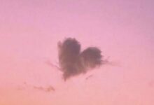 温柔的心 - 失眠拾光