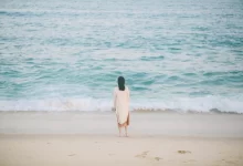 半 生 - 失眠拾光