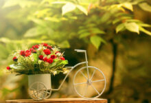 蹉跎的时光 - 失眠拾光