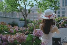 治愈夏天 - 失眠拾光