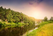 夏 天 - 失眠拾光