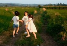 长大的理想 - 失眠拾光