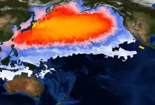 核有三十 - 失眠拾光