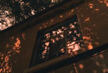 沉默的真相 - 失眠拾光