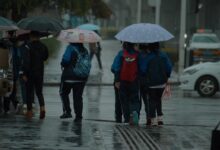 天凉好个秋 - 失眠拾光