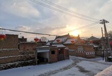 思乡情 - 失眠拾光