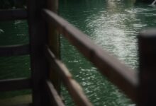 小桥流水 - 失眠拾光