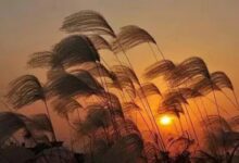 抵 达 - 失眠拾光