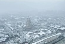 第一场雪 - 失眠拾光