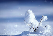 雪 国 - 失眠拾光