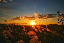 弄丢了黄昏 - 失眠拾光